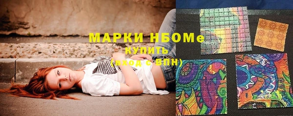 прущая мука Вяземский