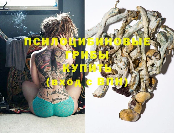 прущая мука Вяземский